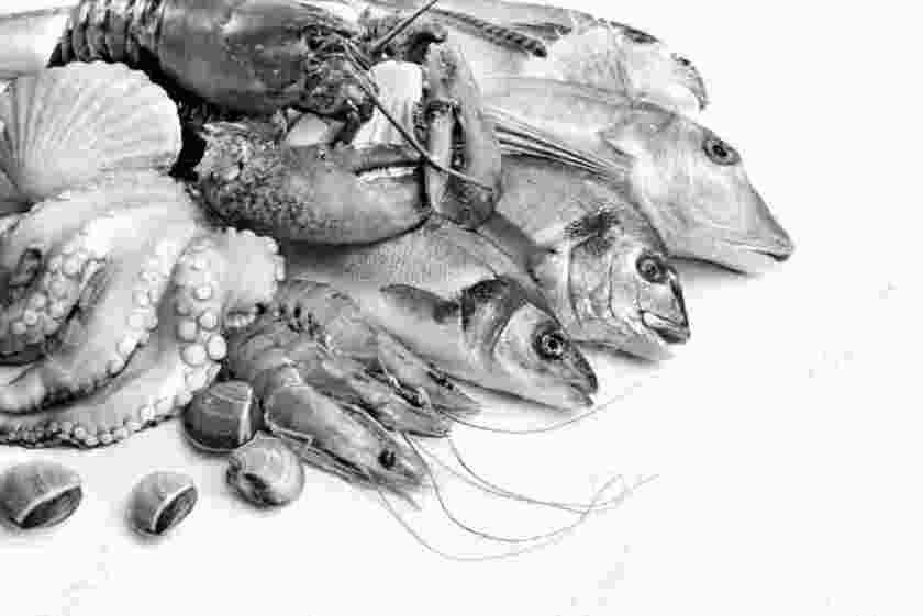 krishna-fish-all-fresh-fish-and-pune-city-home-delivery_1507573261A7vYjZ.jpeg